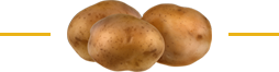 Zorgboerderij Bij de Pinken - aardappel